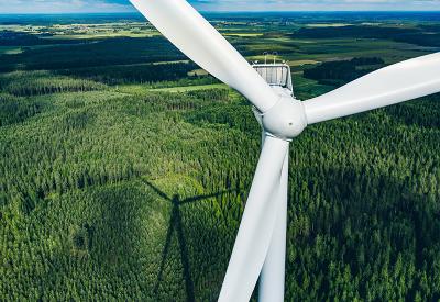 air turbine in a forest